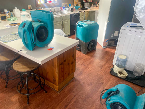 Best Mold removal after water damage  in Duarte, CA