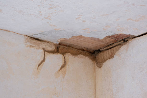 Best Water damage repair service  in Duarte, CA