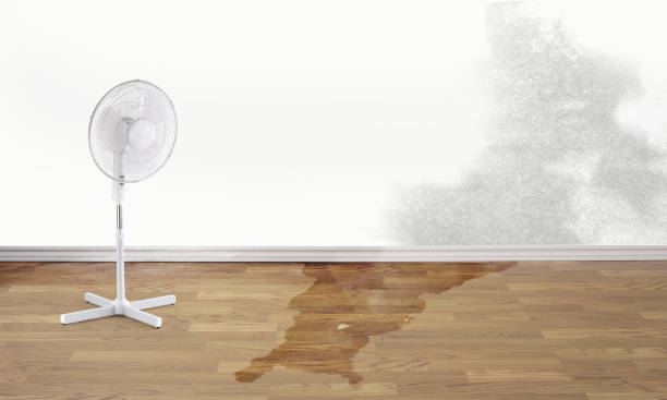 Best Water damage restoration near me  in Duarte, CA