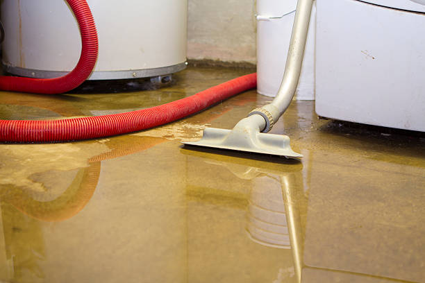 Best Water damage cleanup near me  in Duarte, CA